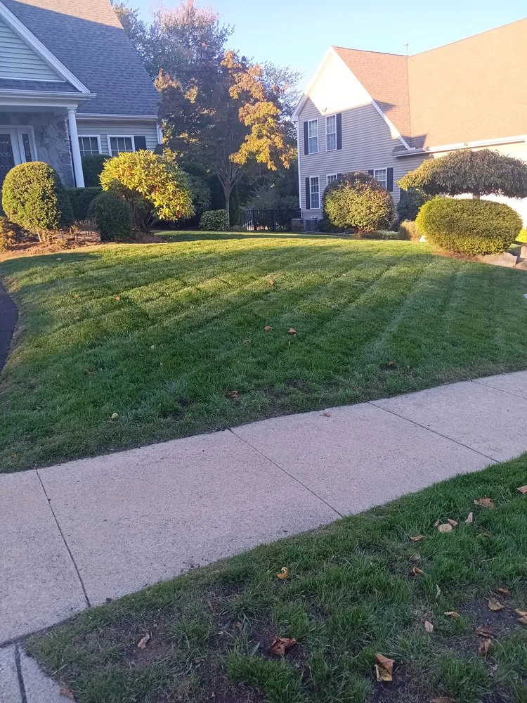 Affordable lawn care service for year-round maintenance across Westerly, RI - D And B Fix It Home Repair And Improvement