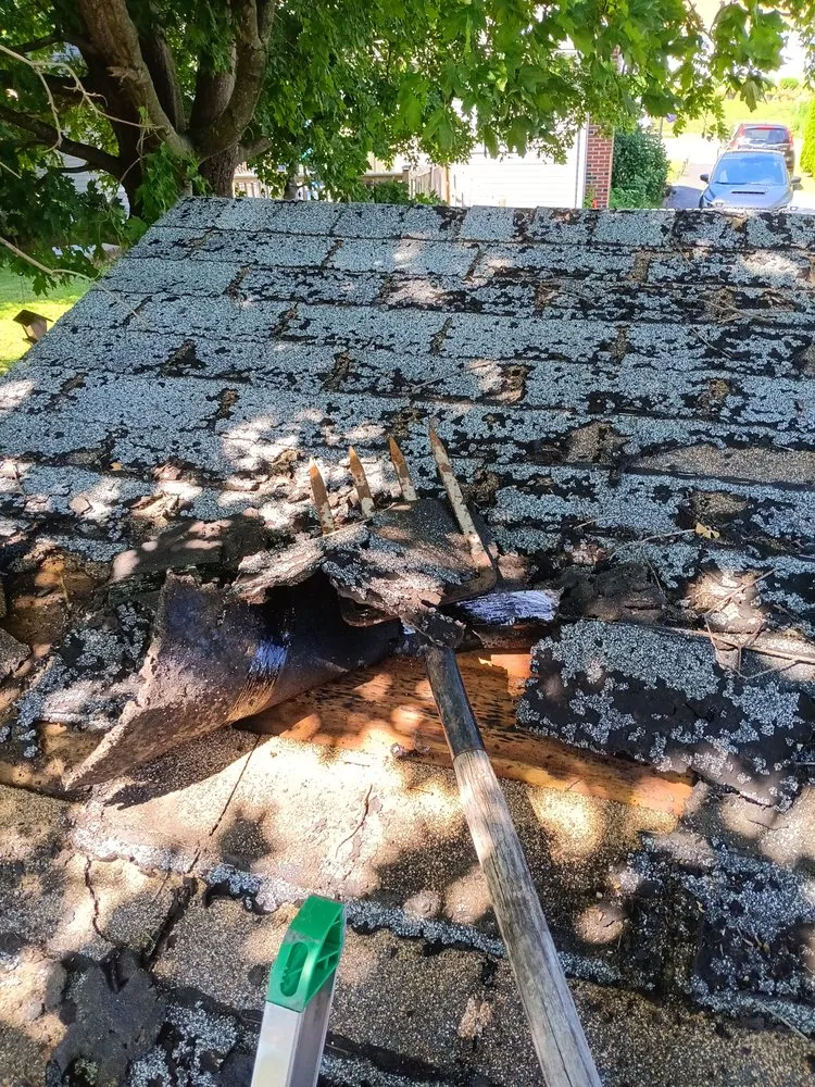 Professional outdoor landscaping near you across Westerly, RI - D And B Fix It Home Repair And Improvement