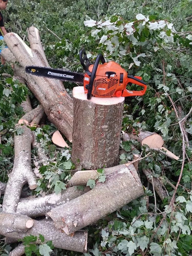 Top-rated yard cleanup service for beautiful yards across Westerly, RI - D And B Fix It Home Repair And Improvement