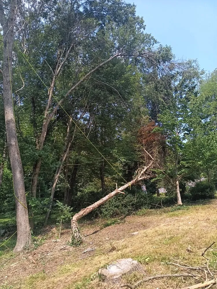 Trusted landscaping services in Westerly, RI by D And B Fix It Home Repair And Improvement