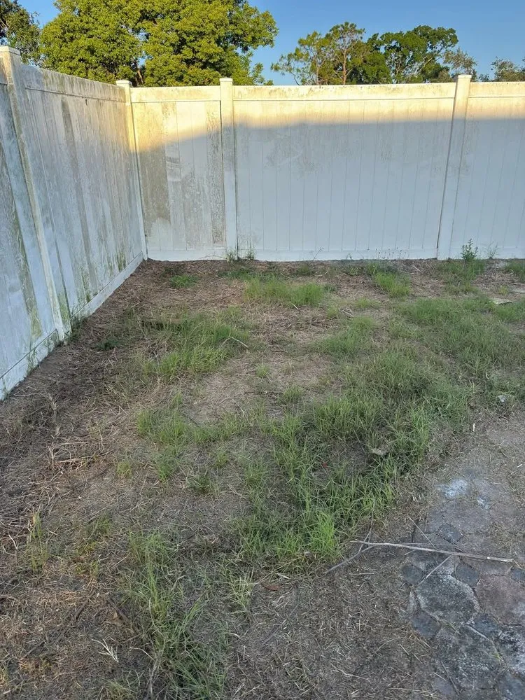 Reliable lawn mowing service in Tampa Bay, FL by D and C Land Clearing and Maintenance