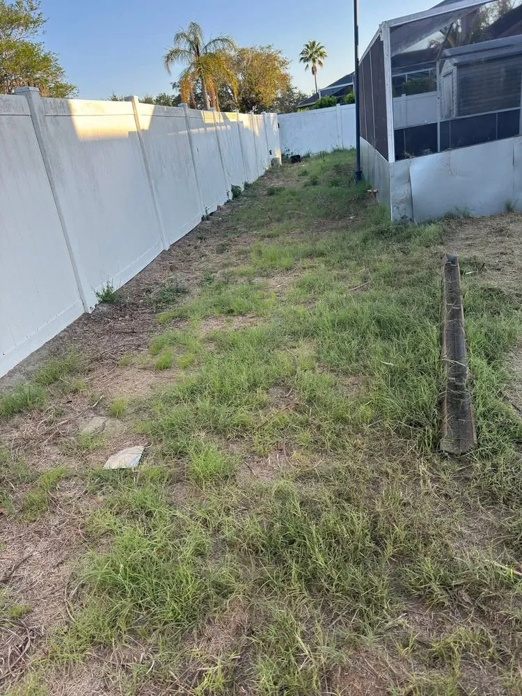 Expert residential landscaping in Tampa Bay, FL - D and C Land Clearing and Maintenance