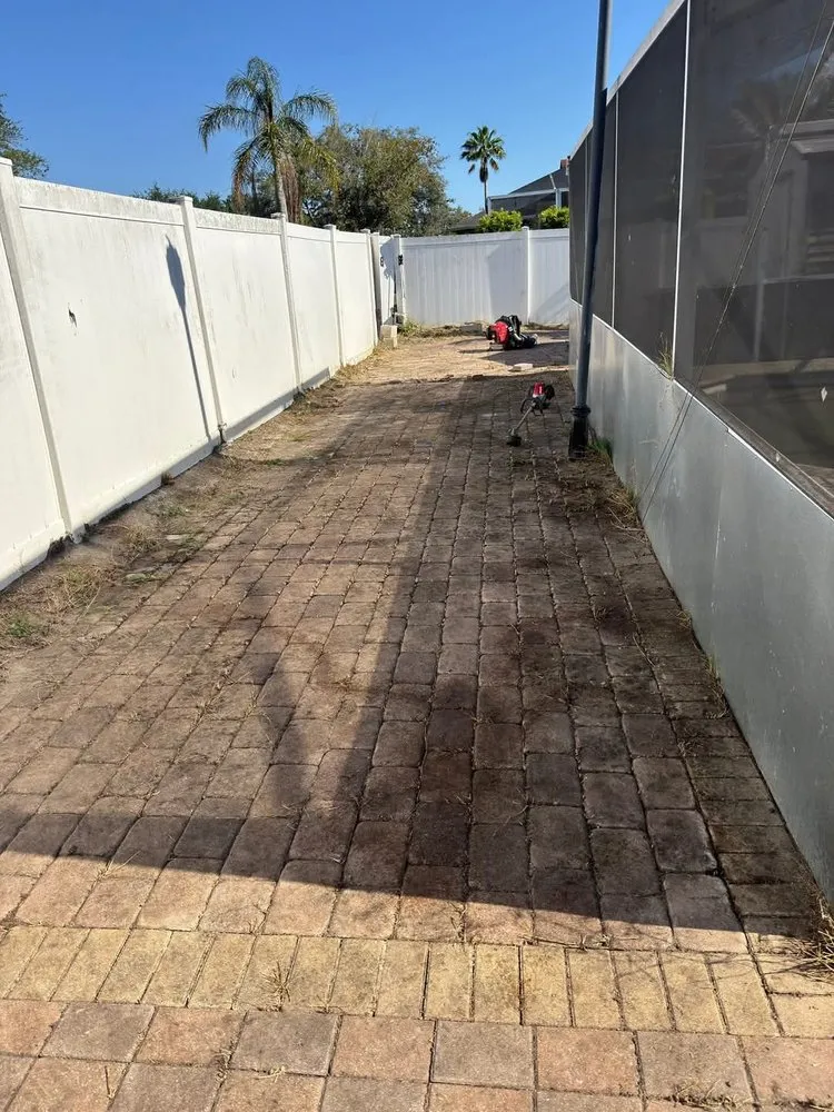 Reliable outdoor landscaping for residential properties in Tampa Bay, FL by D and C Land Clearing and Maintenance