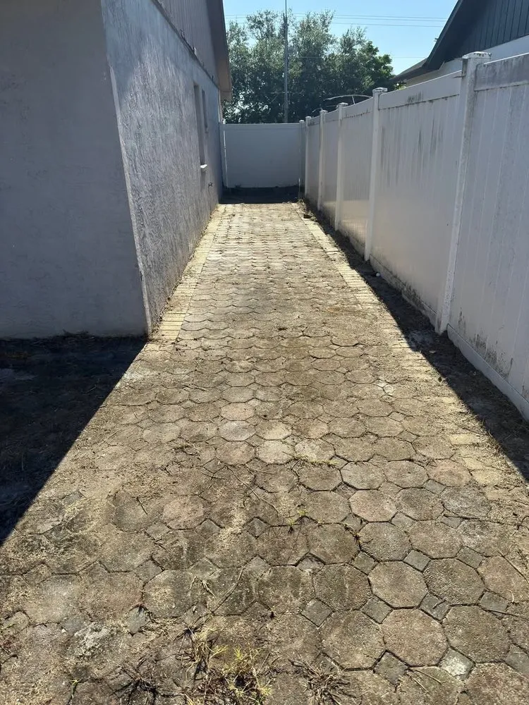 Reliable outdoor landscaping in Tampa Bay, FL - D and C Land Clearing and Maintenance