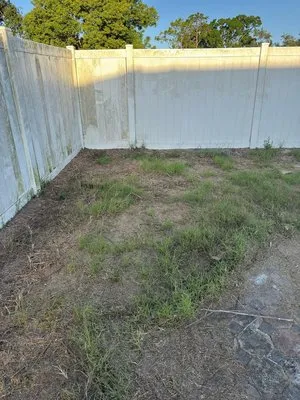 D and C Land Clearing and Maintenance Logo