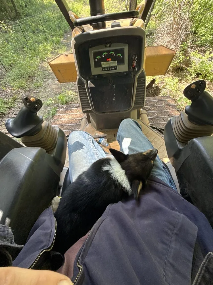 Expert residential landscaping in Longview, TX - D And D Construction