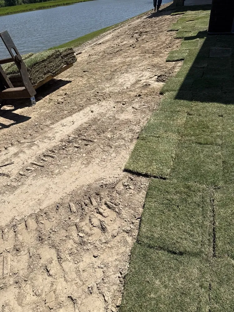 Top-rated lawn care service in Longview, TX by D And D Construction