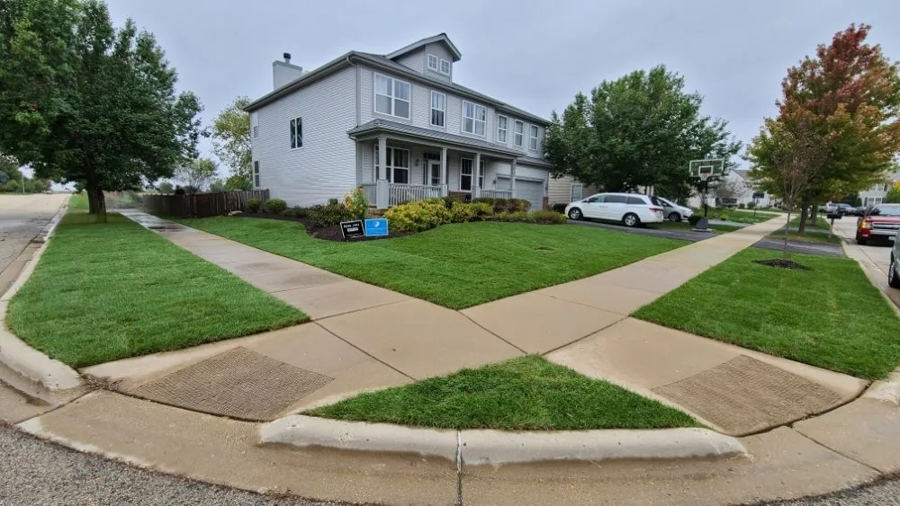 Top-rated yard cleanup service experts serving Sandwich, IL - D and G Landscaping & Snow Removal