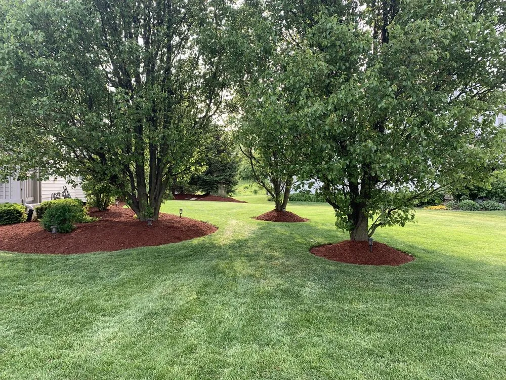 Top-rated landscape design experts serving Sandwich, IL - D and G Landscaping & Snow Removal