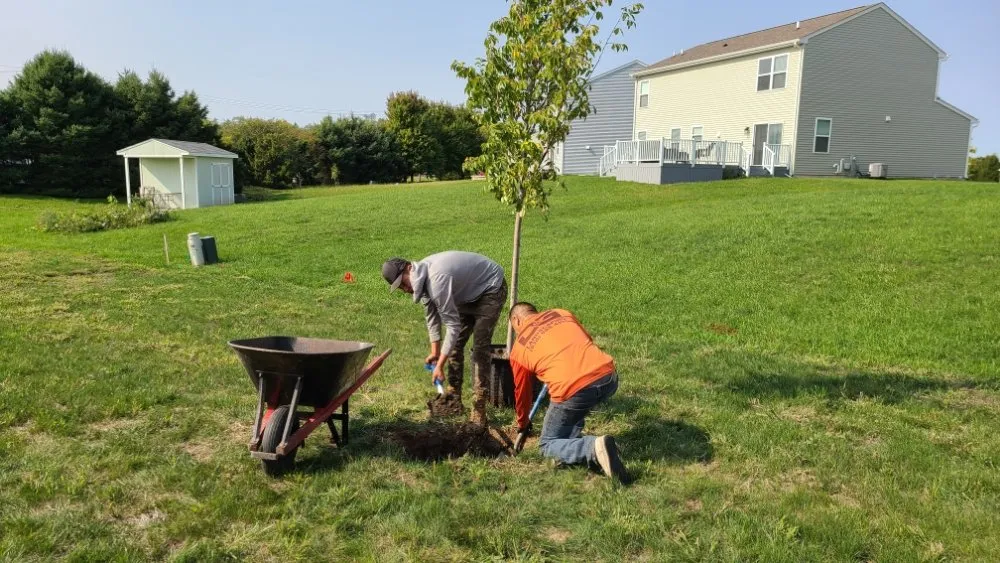 Top-rated lawn mowing service for beautiful yards in Sandwich, IL by D and G Landscaping & Snow Removal