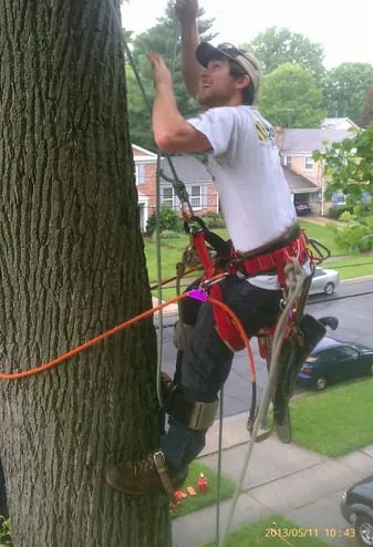 Reliable lawn mowing service for year-round maintenance across Culpeper, VA - D and J Outdoor Professionals