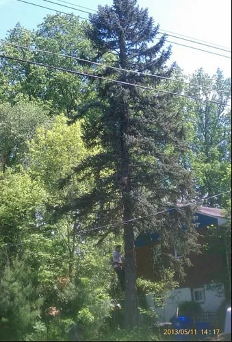 Top-rated yard maintenance experts serving Culpeper, VA - D and J Outdoor Professionals