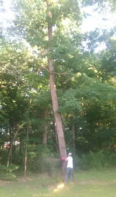 Affordable garden landscaping in Culpeper, VA by D and J Outdoor Professionals