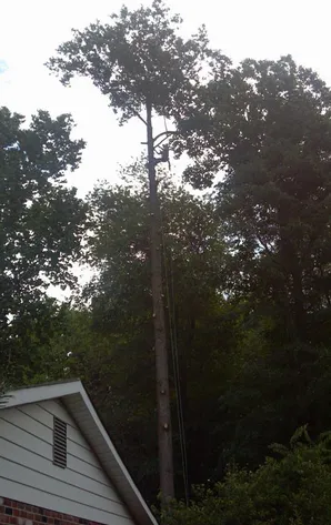 Local landscaping services with custom design in Culpeper, VA by D and J Outdoor Professionals