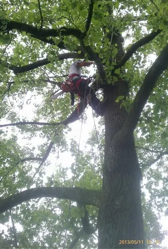 Custom outdoor landscaping for homes across Culpeper, VA - D and J Outdoor Professionals