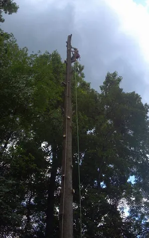 Affordable residential landscaping for residential properties in Culpeper, VA by D and J Outdoor Professionals