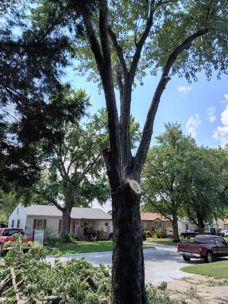 Expert landscape installation experts serving Tulsa, OK - D And J Tree An Landscaping