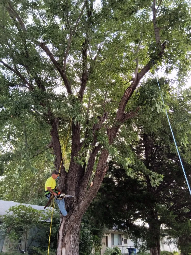 Expert landscaping services in Tulsa, OK by D And J Tree An Landscaping