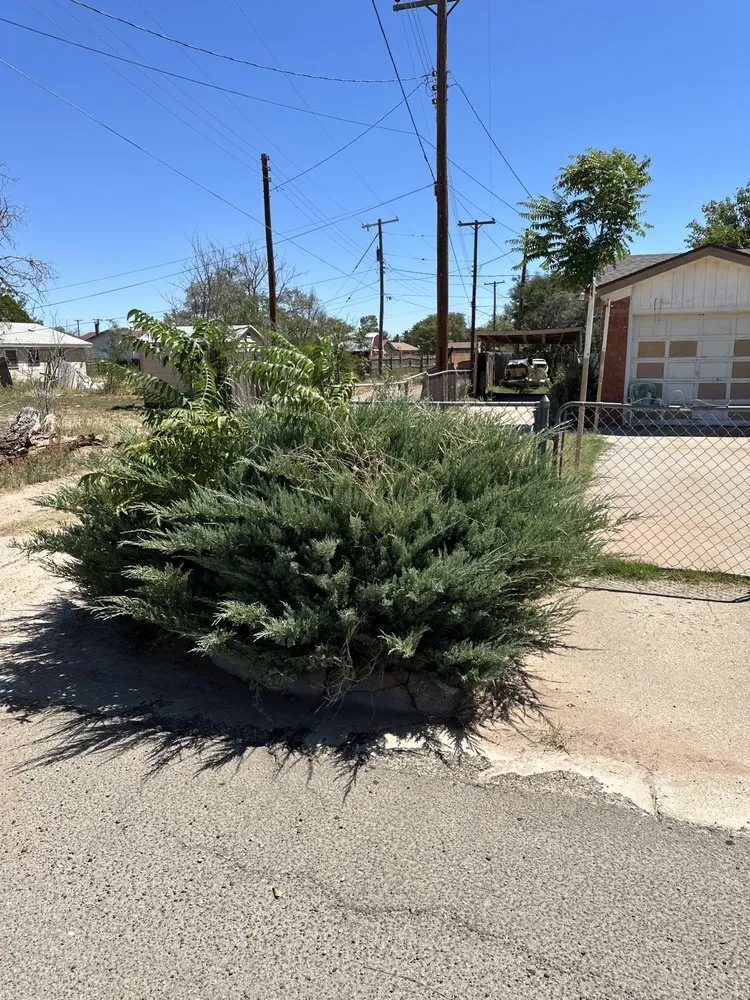 Expert lawn mowing service experts serving Lubbock, TX - D and J Tree Service