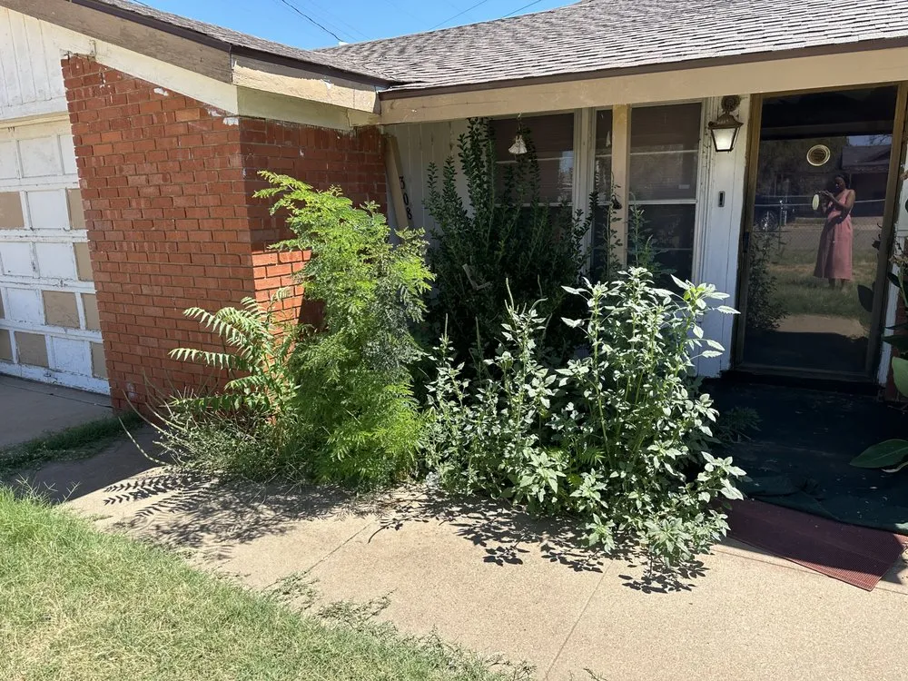 Local outdoor landscaping in Lubbock, TX by D and J Tree Service