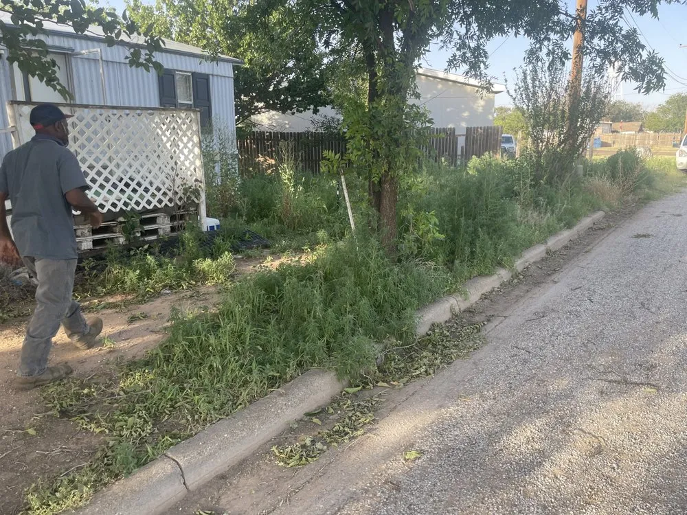 Local yard cleanup service for year-round maintenance across Lubbock, TX - D and J Tree Service