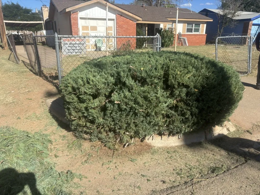 Professional outdoor landscaping for beautiful yards across Lubbock, TX - D and J Tree Service