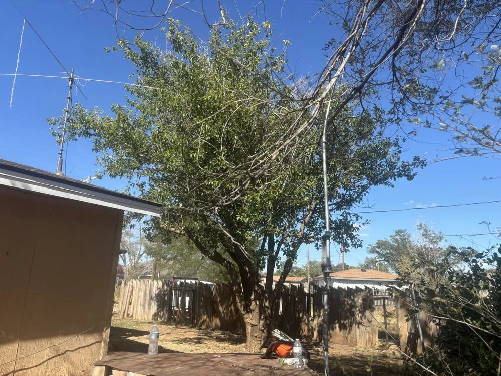 Reliable lawn care service in Lubbock, TX by D and J Tree Service