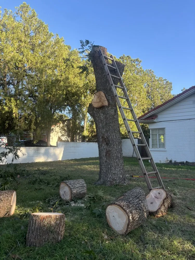 Reliable lawn mowing service experts serving Lubbock, TX - D and J Tree Service