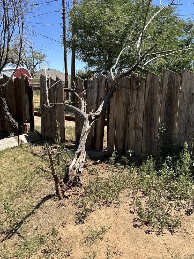 Professional residential landscaping in Lubbock, TX by D and J Tree Service