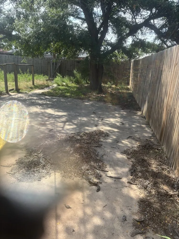 Trusted yard maintenance in Lubbock, TX - D and J Tree Service