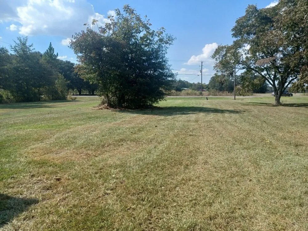 Affordable landscape design in Opelousas, LA - D and L lawn and Pressure Washing