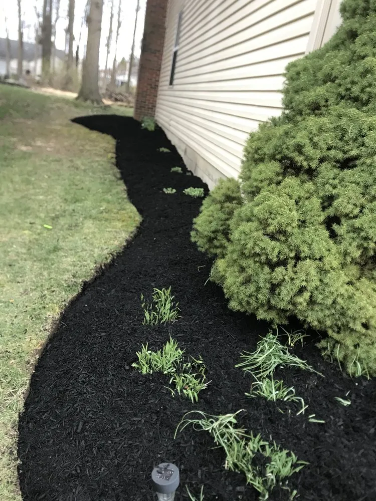 Professional landscape installation in Columbus, OH by D and SONS Landscaping