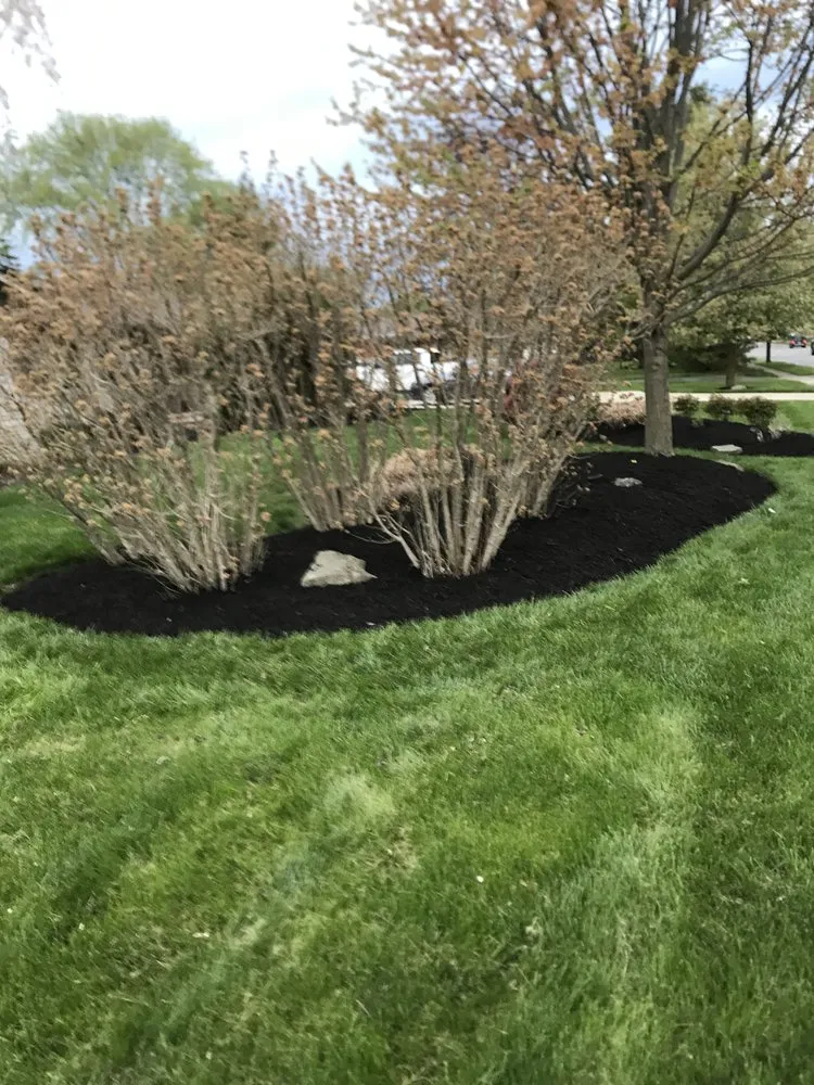Trusted lawn care service for beautiful yards across Columbus, OH - D and SONS Landscaping