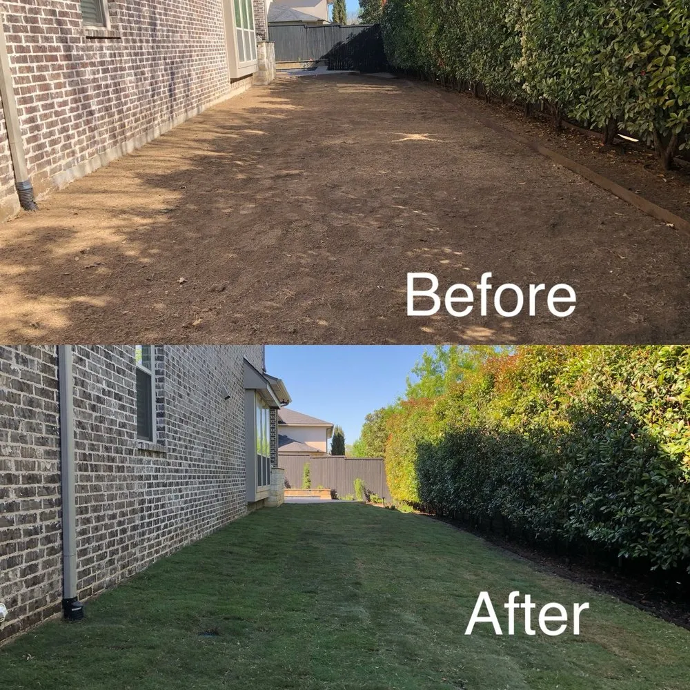 Affordable landscape installation for outdoor upgrades across Dallas, TX - D And V Landscaping