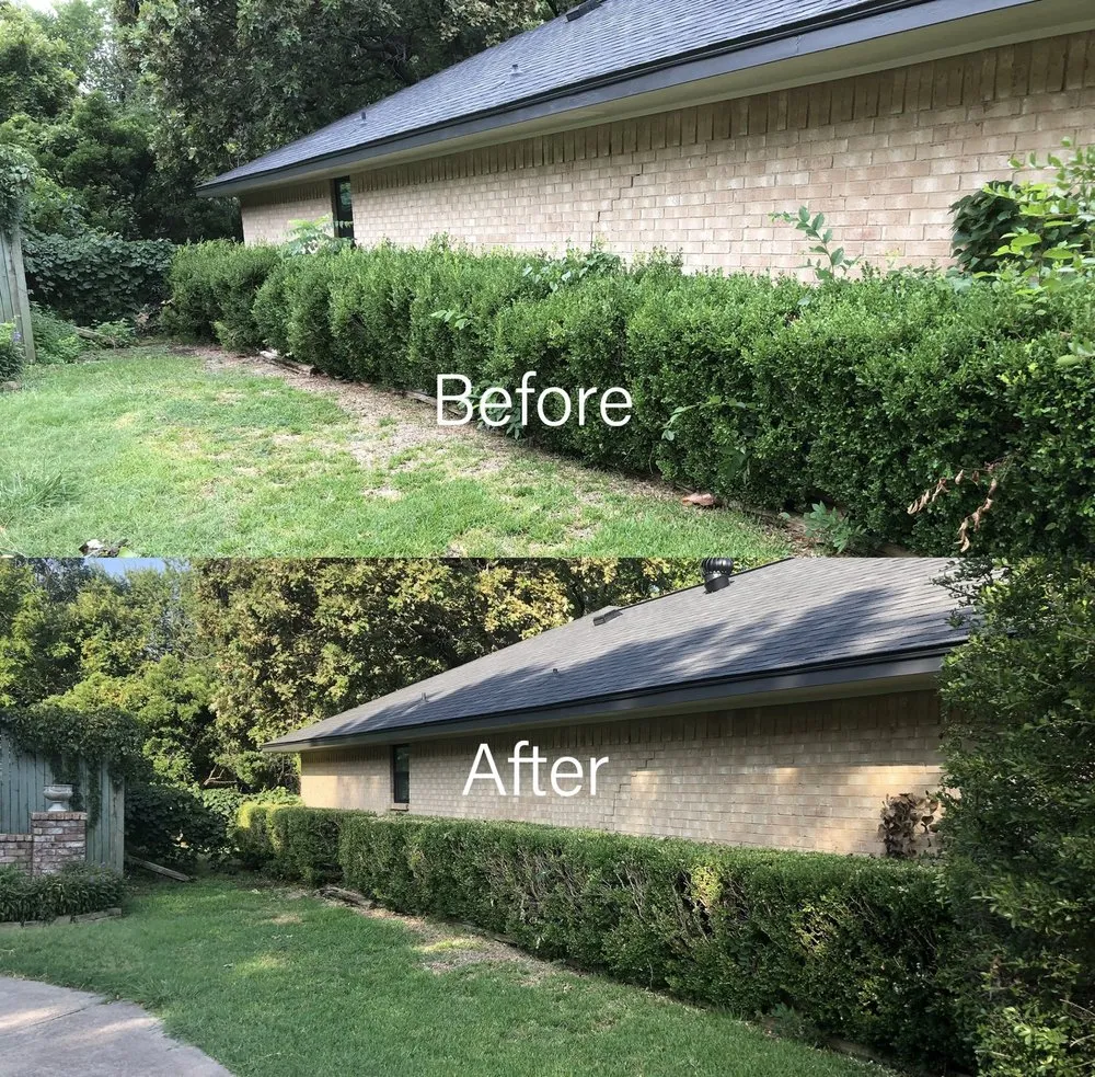 Custom yard maintenance in Dallas, TX by D And V Landscaping