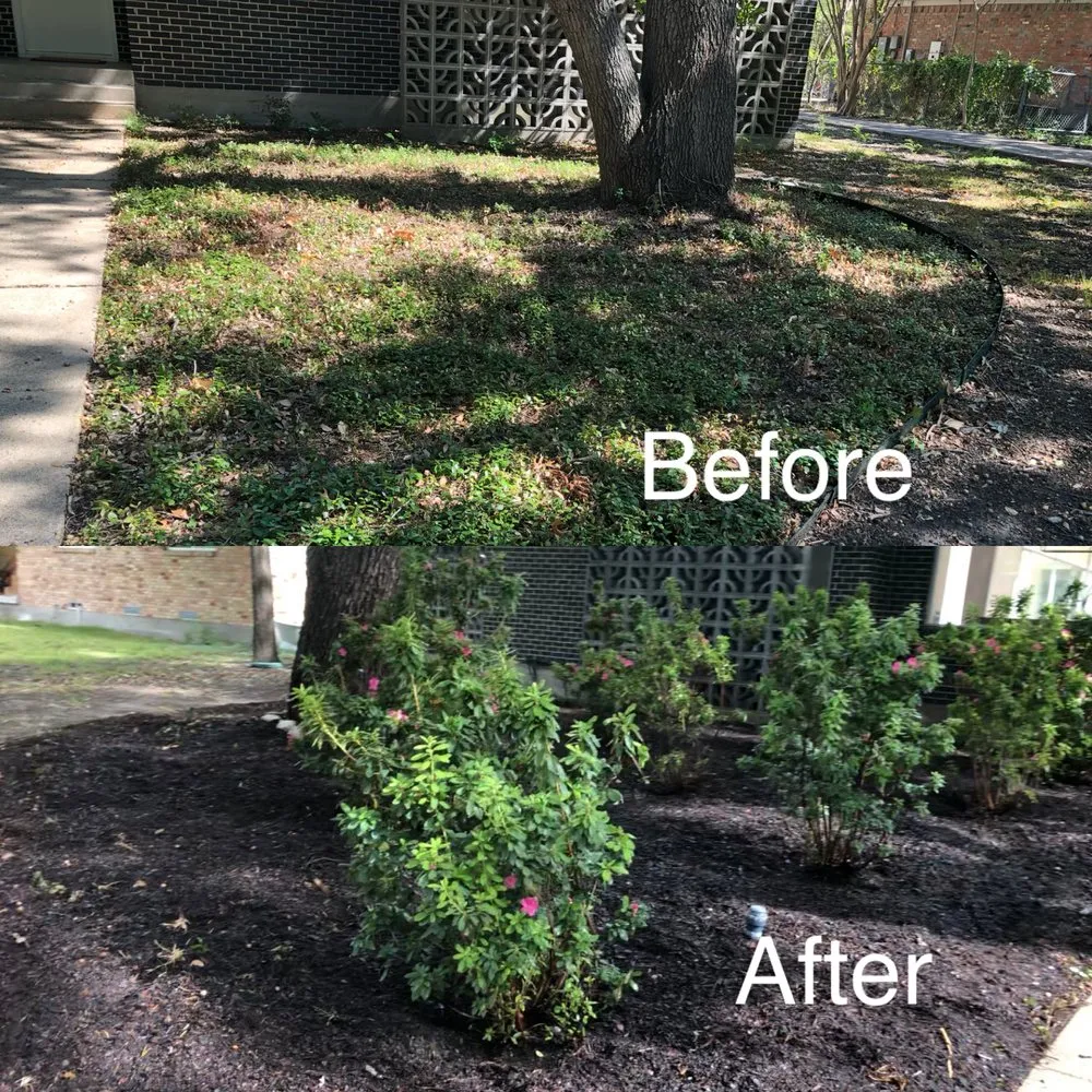 Reliable landscaping services in Dallas, TX by D And V Landscaping
