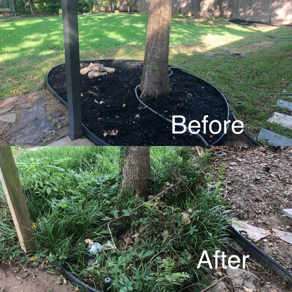 Trusted lawn mowing service in Dallas, TX by D And V Landscaping