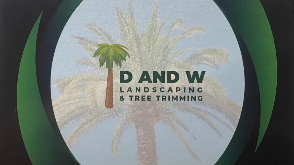Expert outdoor landscaping in Los Angeles, CA by D and W Landscaping & Tree Trimming
