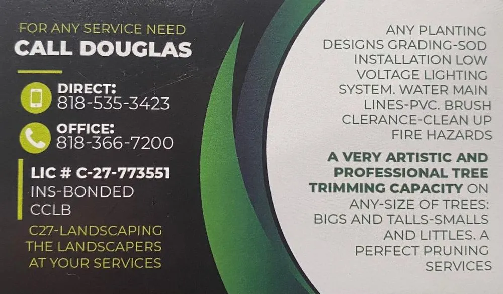 Trusted yard cleanup service for outdoor upgrades across Los Angeles, CA - D and W Landscaping & Tree Trimming