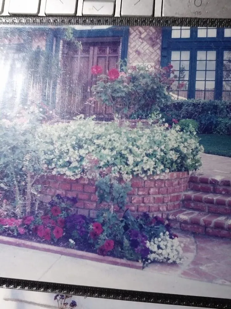 Local yard maintenance near you in Los Angeles, CA by D and W Landscaping & Tree Trimming