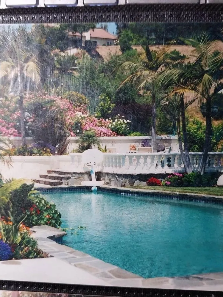 Local yard cleanup service in Los Angeles, CA by D and W Landscaping & Tree Trimming