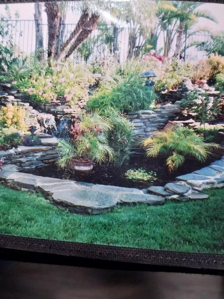Local residential landscaping in Los Angeles, CA by D and W Landscaping & Tree Trimming