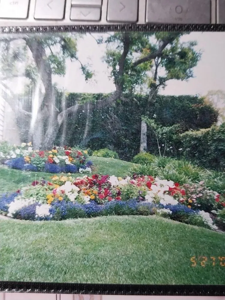 Expert lawn mowing service in Los Angeles, CA by D and W Landscaping & Tree Trimming