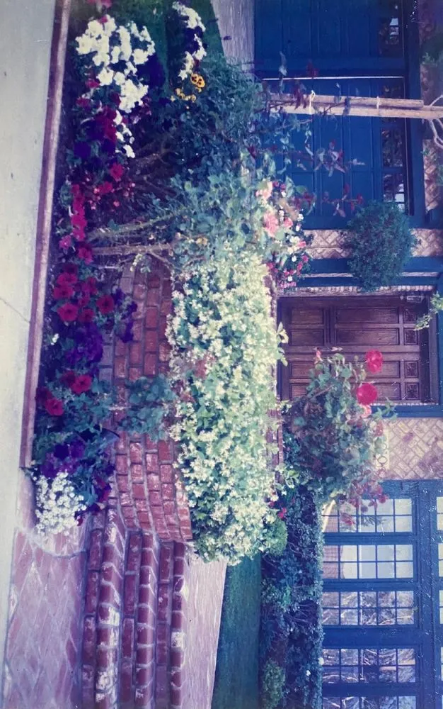 Reliable lawn mowing service for year-round maintenance across Los Angeles, CA - D and W Landscaping & Tree Trimming