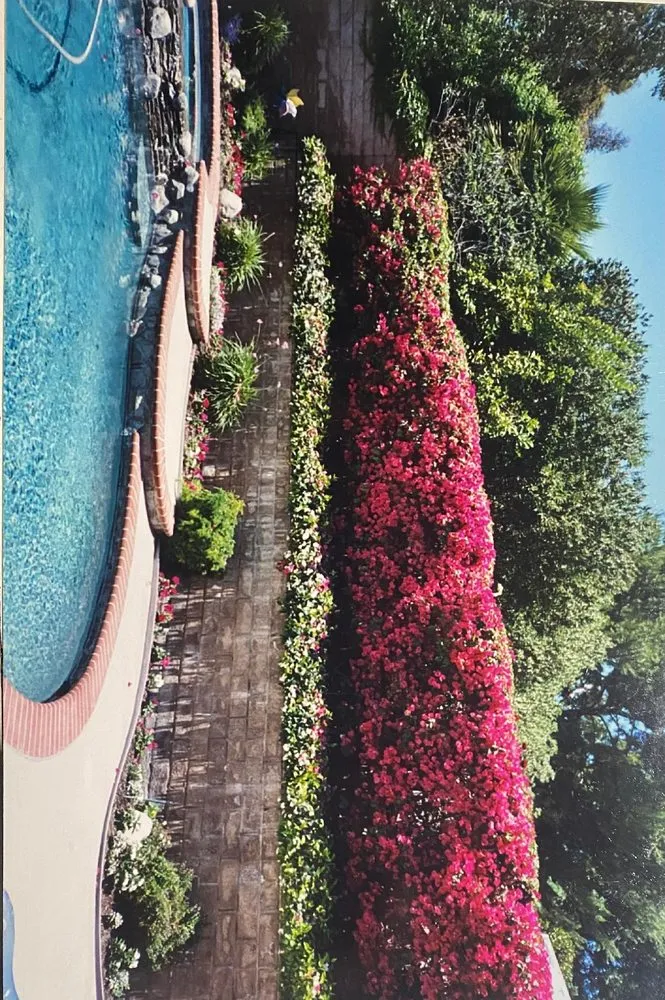 Top-rated residential landscaping experts serving Los Angeles, CA - D and W Landscaping & Tree Trimming