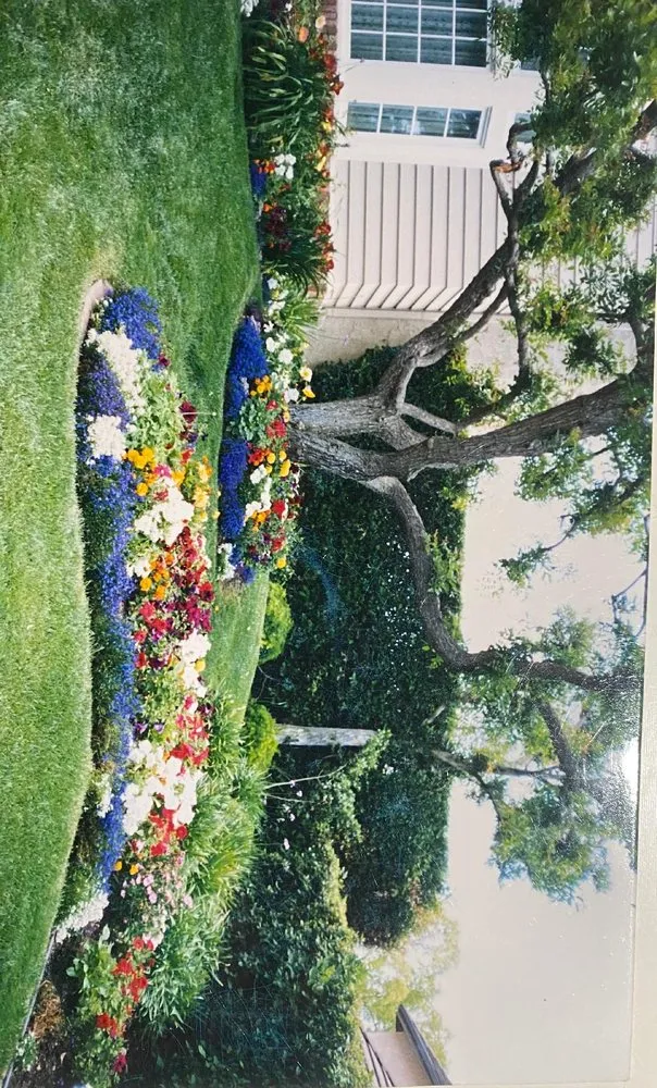 Expert landscape installation for beautiful yards in Los Angeles, CA by D and W Landscaping & Tree Trimming