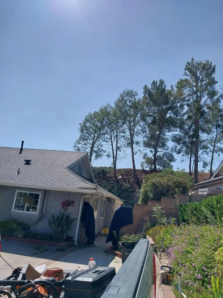 Custom landscape installation for homes across Los Angeles, CA - D and W Landscaping & Tree Trimming