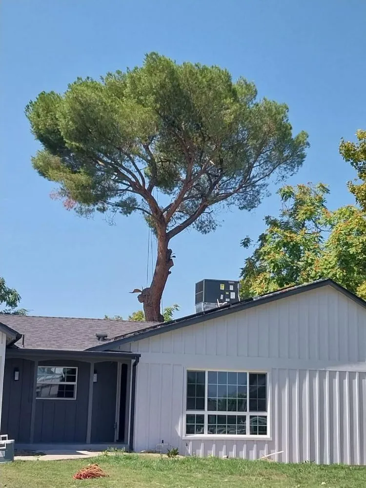 Professional garden landscaping for homes in Los Angeles, CA by D and W Landscaping & Tree Trimming