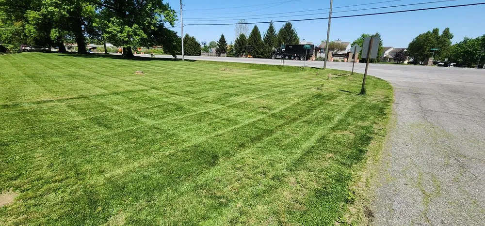 Affordable lawn mowing service in Indianapolis, IN - D B Construction