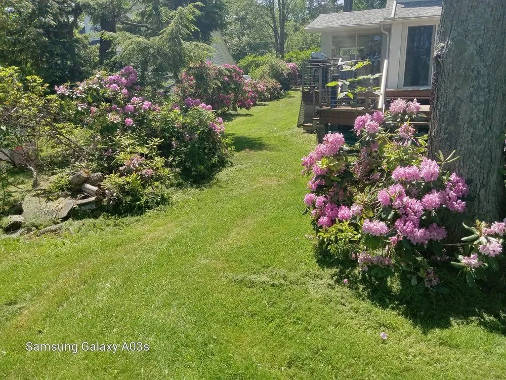Local yard maintenance in Union Dale, PA by D &B Lawncare